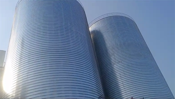 安吉2座混凝土高架卷板仓